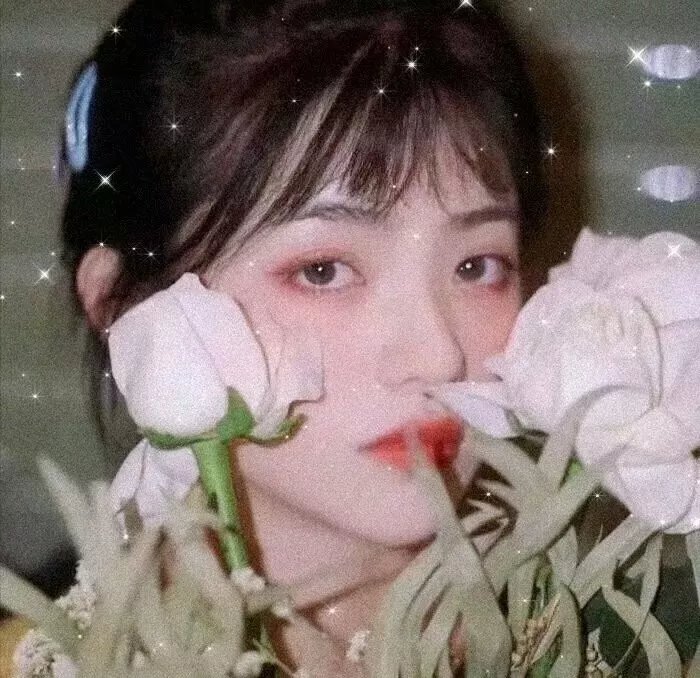 儍佬寻春